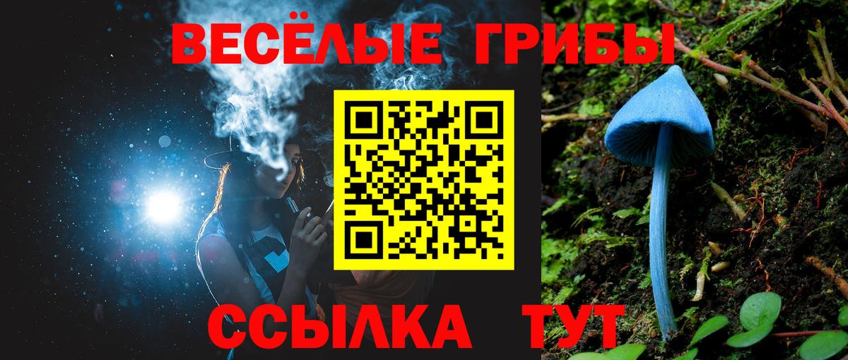 Галлюциногенные грибы Cubensis Советская Гавань