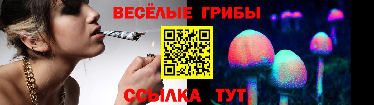 Советская Гавань  что такое наркотик  Вход с VPN  Псилоцибиновые грибы Psilocybe 